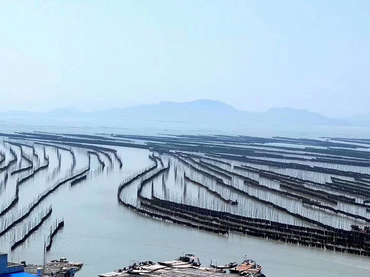 海带养殖筏