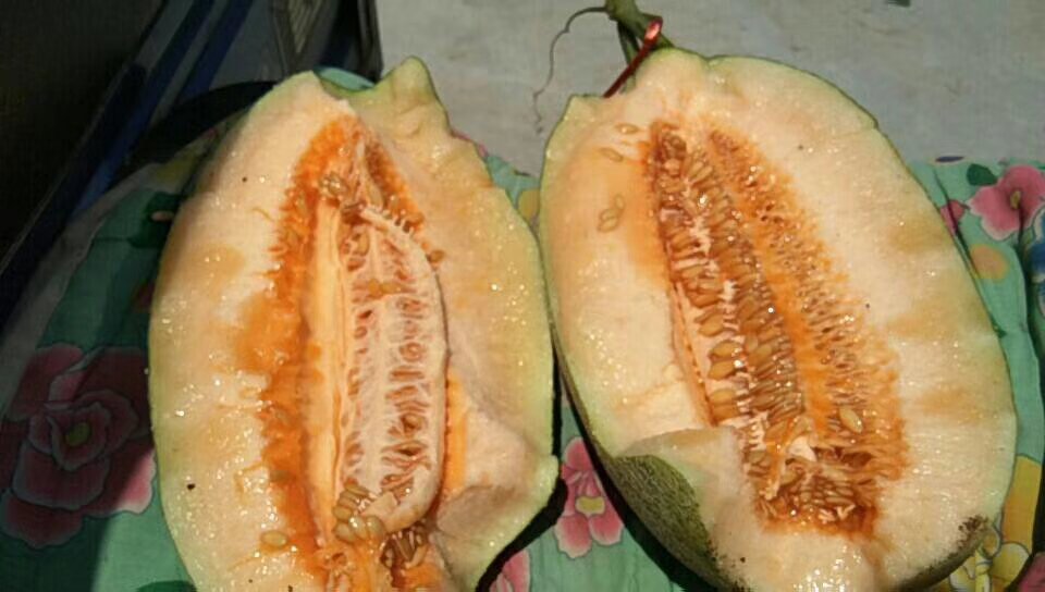 玉菇甜瓜切开图