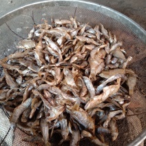 鱼干