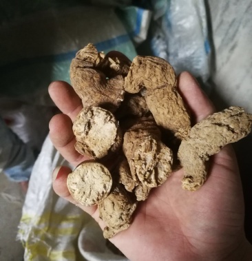 00元/公斤 - 一亩田