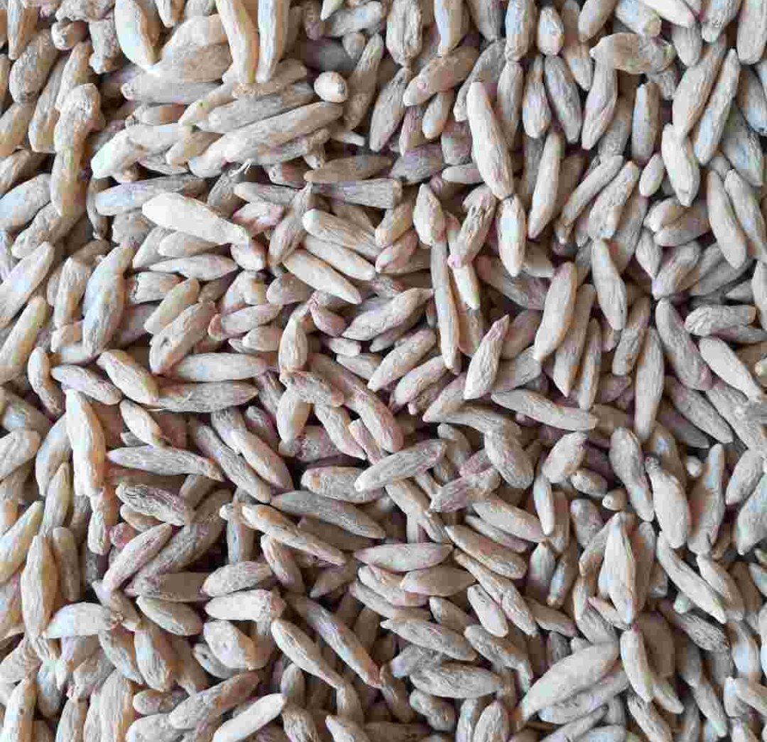 橙子与其他润肺食材搭配图