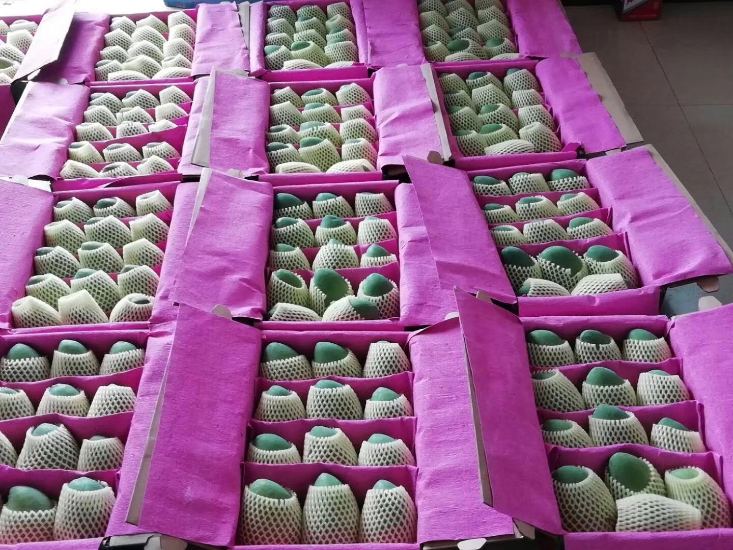 金煌芒与水仙芒包装箱对比实景