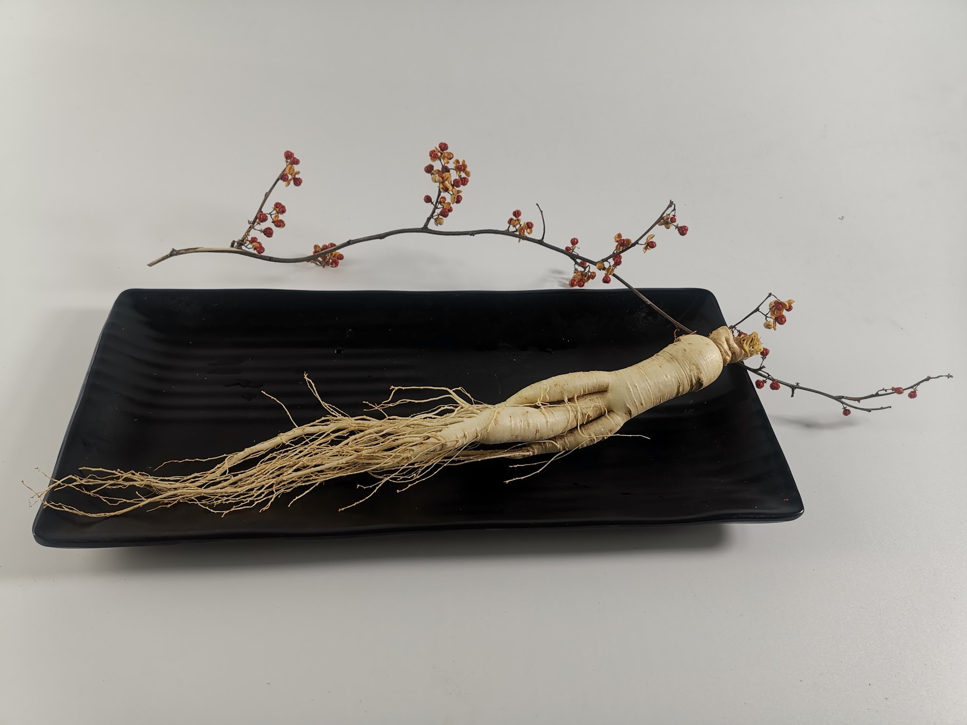 保鲜人参与保鲜液展示图