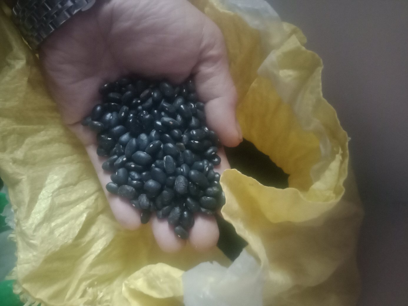 浸泡中的黑豆与黄豆