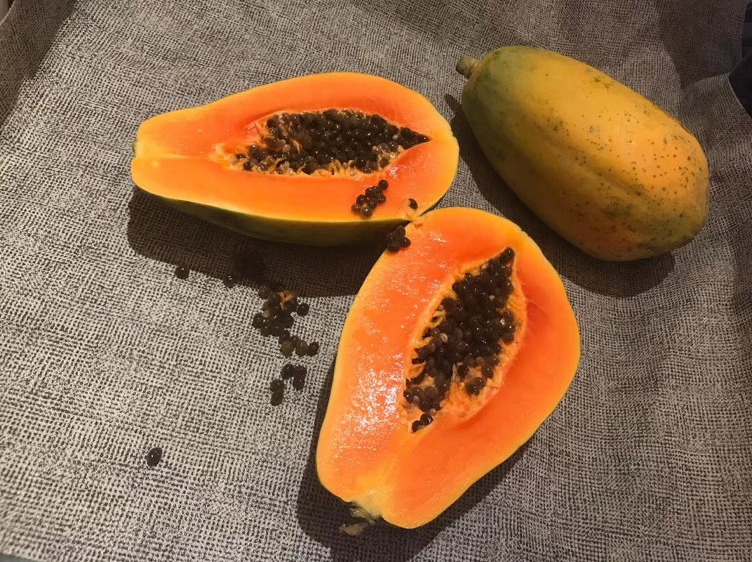 木瓜籽泡水与研磨成粉的对比图