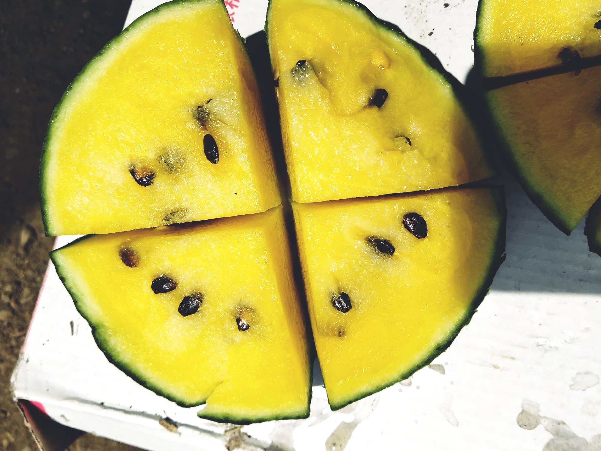 特小凤西瓜横切面特写