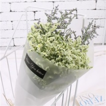 买一送一云南勿忘我干花花束真花永生花客厅摆设满天星鲜花干