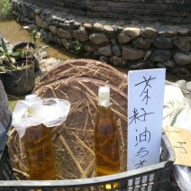 茶子油(纯)小叶好茶子传统工艺
