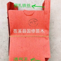 猕猴桃袋果袋猕猴桃套果袋防虫防鸟12X16每件1万个