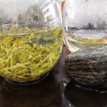 野生藤茶