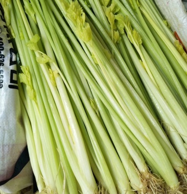 芹菜香芹西芹水芹水洗小芹土芹