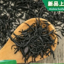 鹿角菜羊栖菜长寿菜海洋中的美食晒干羊栖菜包邮