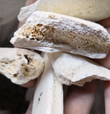 鹿角霜一斤包邮中药材矿石类鹿角霜正品鹿角霜