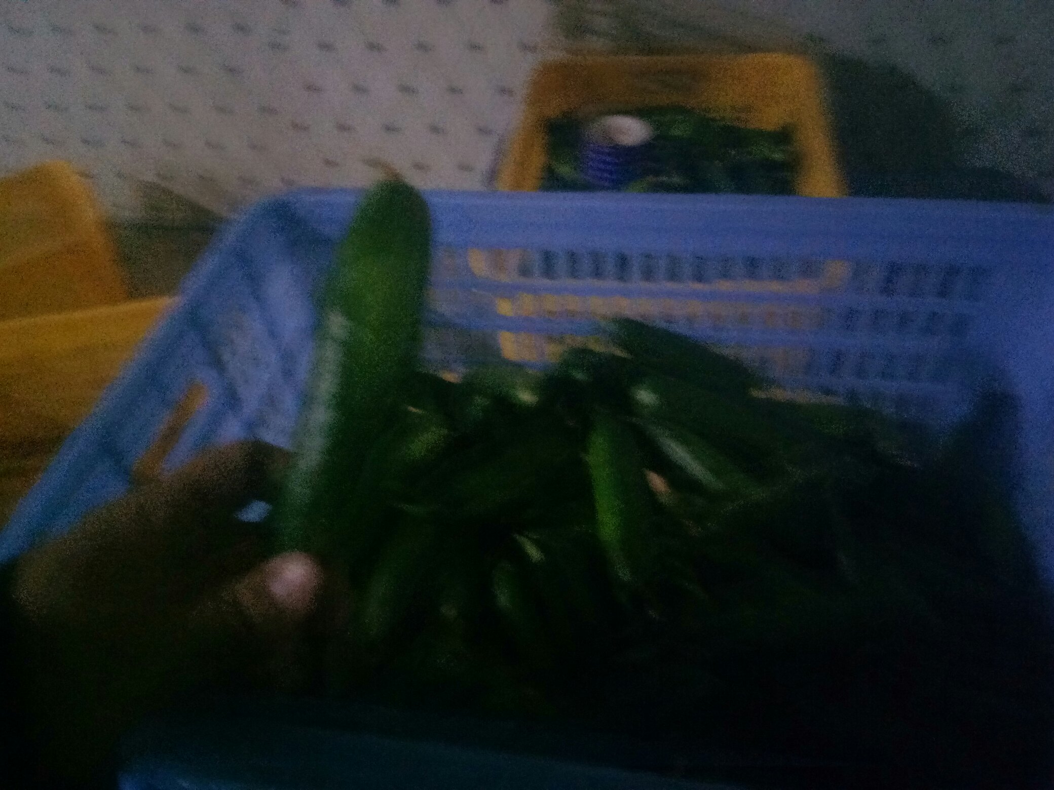 挑选新鲜小黄瓜