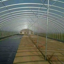 蔬菜大棚花卉大棚养殖大棚温室大棚大棚钢管