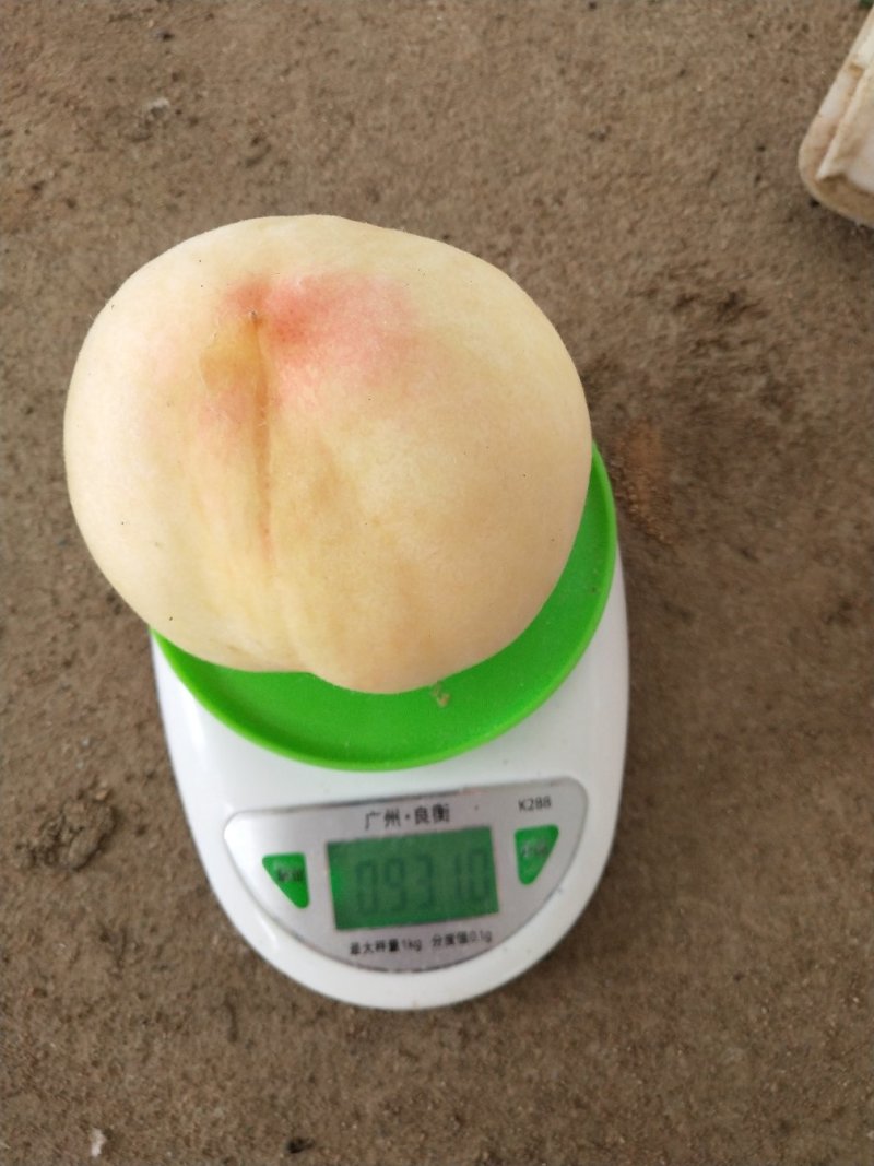 [蜜桃批发]江苏徐州新沂市桃 4.00元/斤新沂水蜜桃(一级精品 _ 一亩田