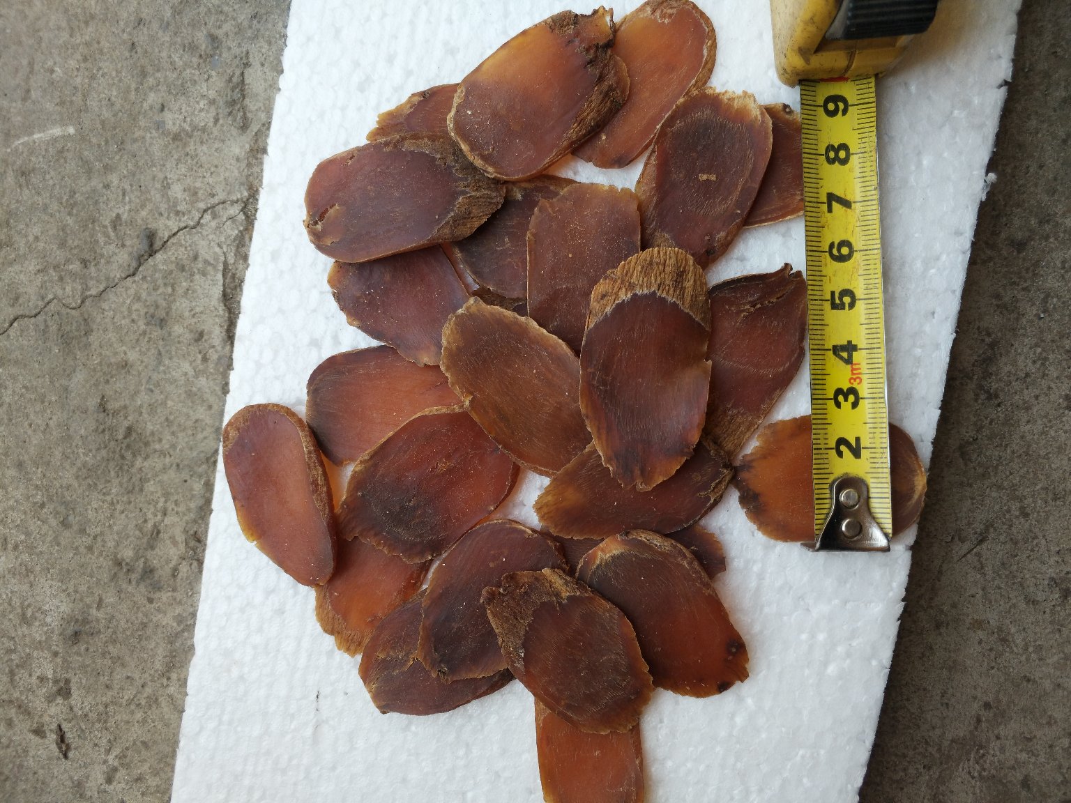 一位身穿白大褂的中药师正在实验室工作台前使用显微镜观察人参切片,旁边摆放着试管架、记录本和电子天平。桌面上分别放置三份标签清晰的样品:标有‘生晒参’‘西洋参’‘伪品参’的玻璃皿,展示专业药材鉴定过程 中药材鉴定场景图