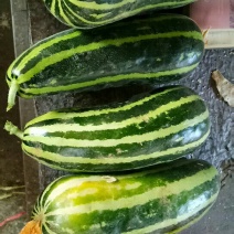 脆瓜0.5座底