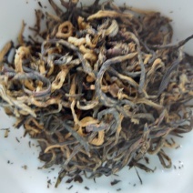 茶花香金骏眉