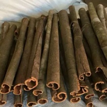 广东德庆自产桂皮供应