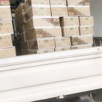 阿联酋，黑椰枣，100件，走起，