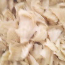 豆皮