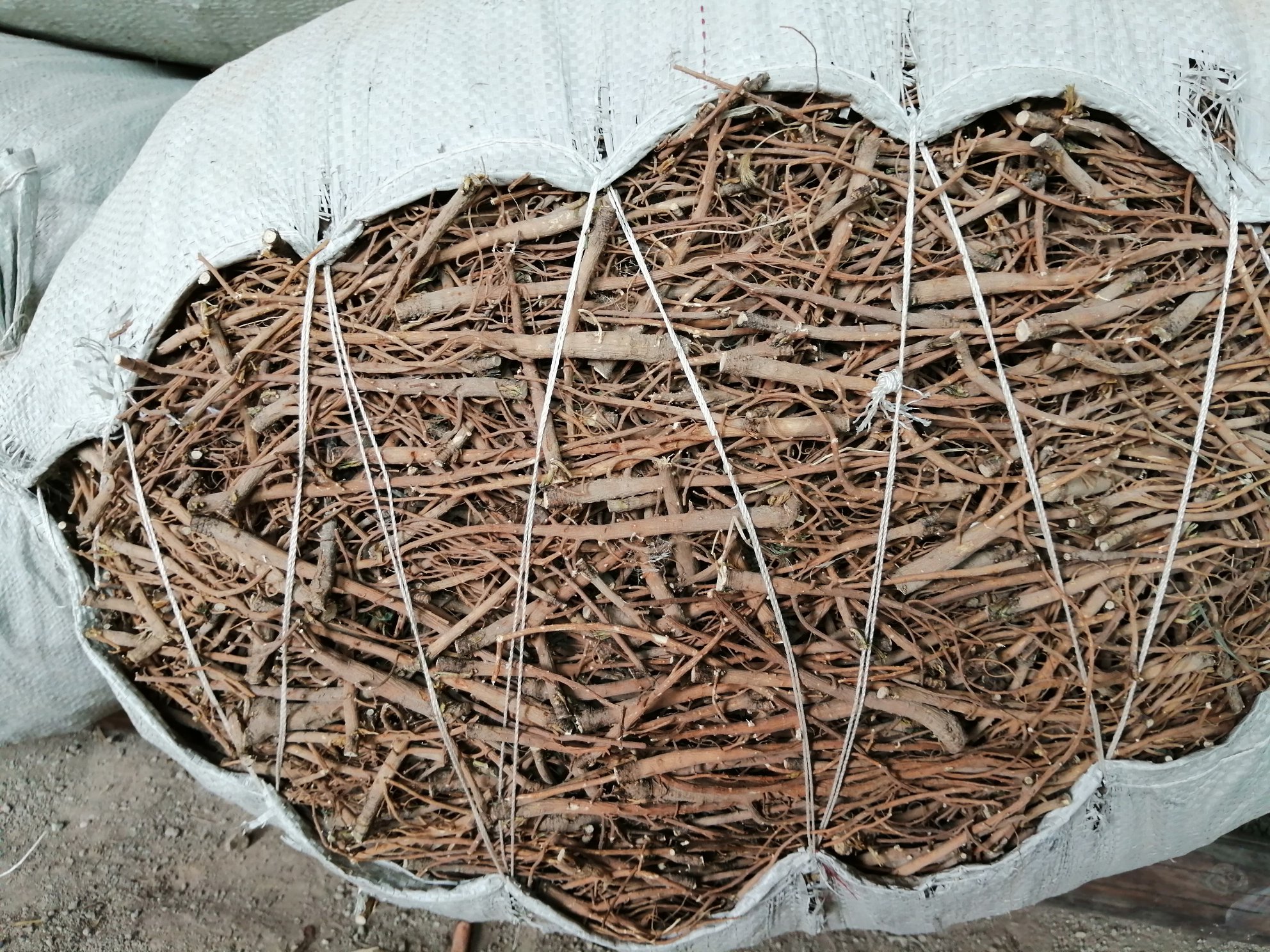 北柴胡与其他中药材一同煎煮,置于砂锅中,水面覆盖药材约2厘米 北柴胡煎煮示意图