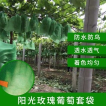 绿色阳光玫瑰套袋特加厚葡萄套袋无纺布葡萄伞罩