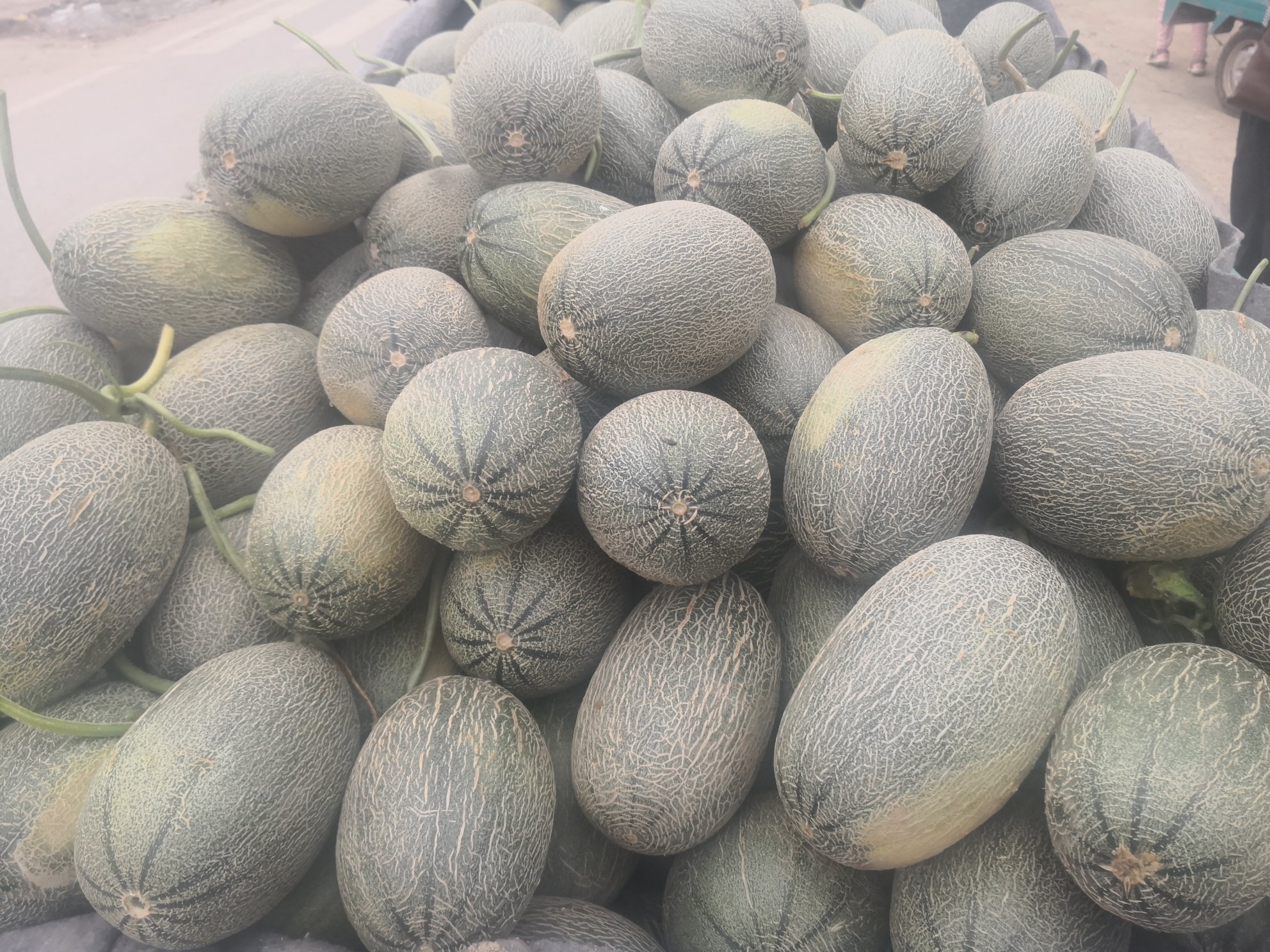 一个乡村农贸市场中的水果摊位,陈列着多种甜瓜品种,包括翠梨甜瓜、网纹瓜和黄皮香瓜,摊主正在向顾客介绍,背景可见‘新鲜香瓜 甜瓜’的手写招牌 甜瓜市场摊位场景