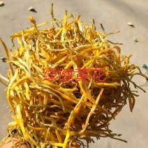 新货上市黄花菜干货无硫