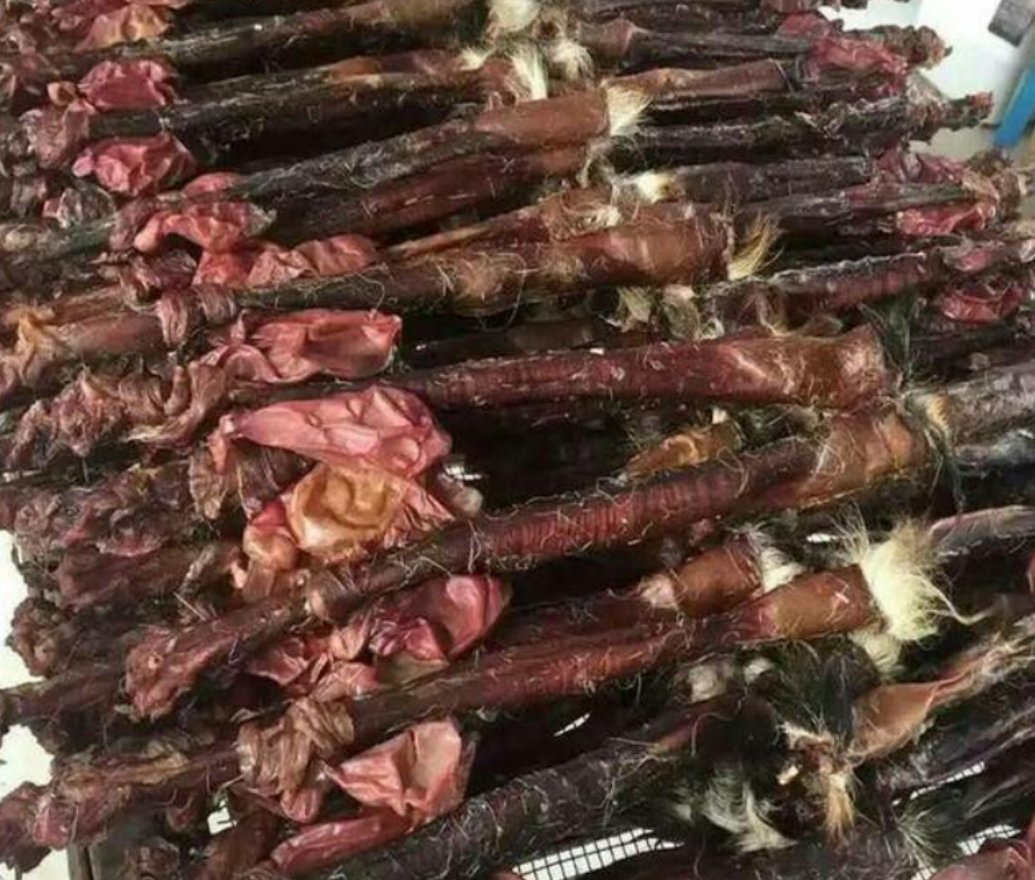 优质干鹿鞭与劣质干鹿鞭对比图,帮助消费者识别质量优劣 干鹿鞭质量对比图