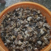 蜗牛肉
