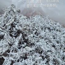 张家界原产野生藤茶嫩芽
