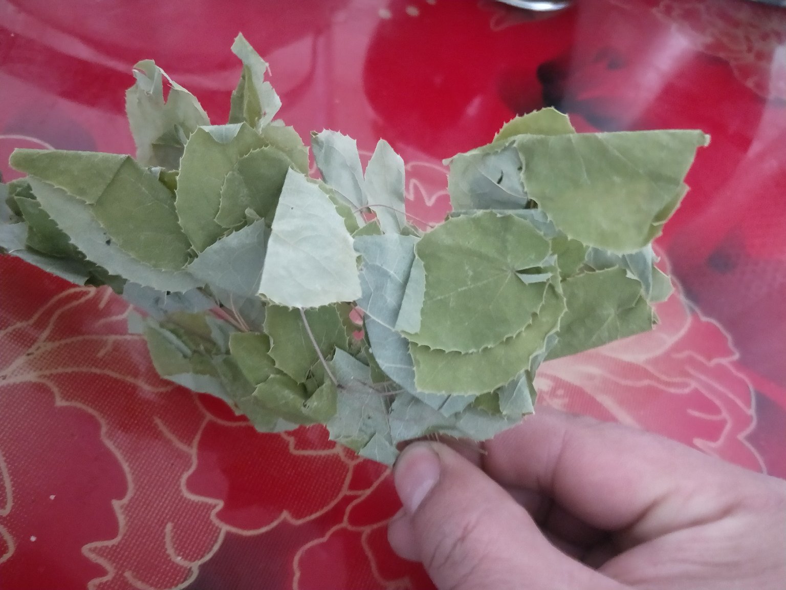 黑玛卡淫羊藿锁阳泡酒示意图