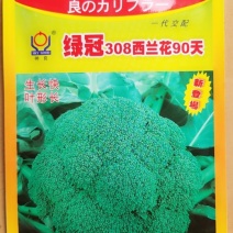 一代交配神良/西兰花种子