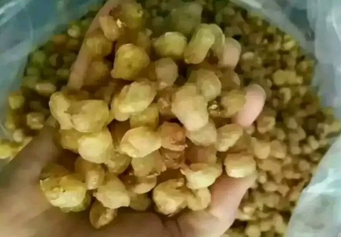 桂圆产地分布图示意图