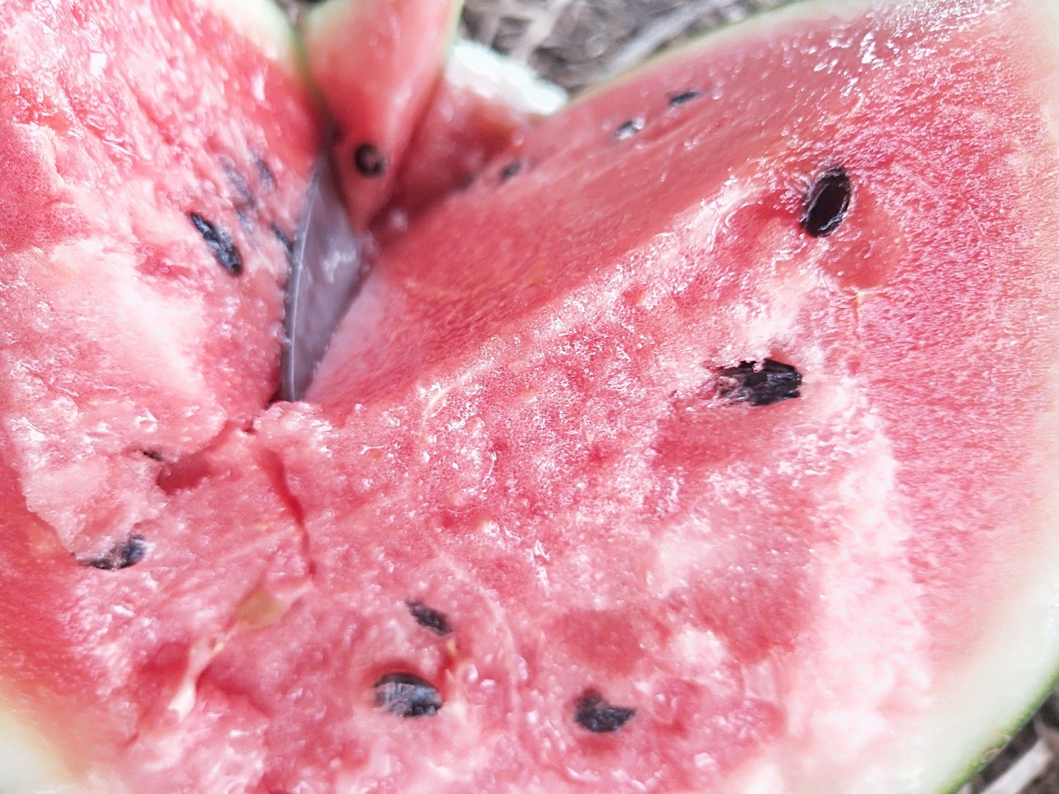 黑美人西瓜成熟果实特写