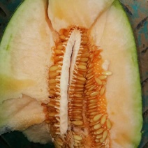 哈蜜瓜