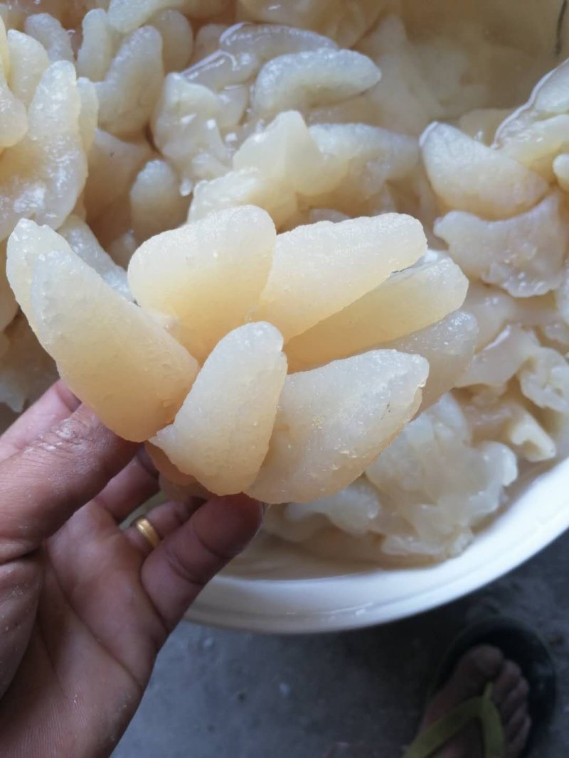 海蜇头～八爪蛰新货可视看货酒店精美凉菜,全国发货