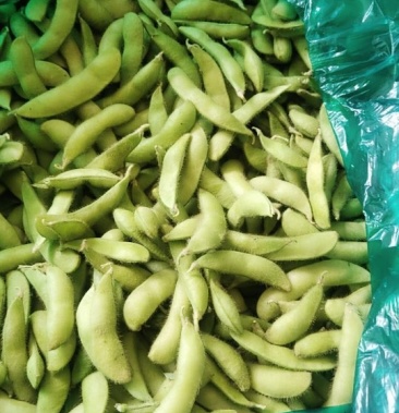 [豆角批发]蔬菜黄豆角价格2.20元/斤 - 一亩田