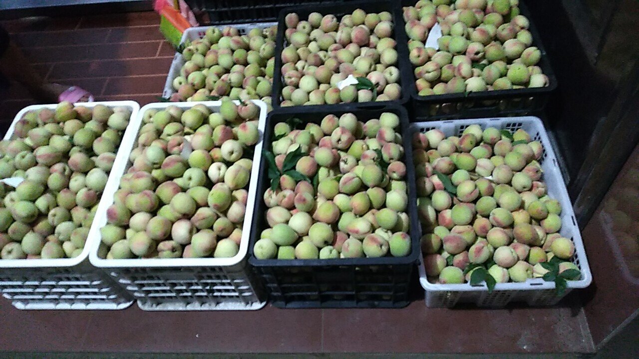 弥红桃营养成分信息图表