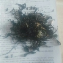 蒲公英茶叶