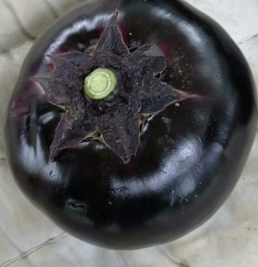 [茄子批发]大黑茄大量上市了有要的老板联系我啊价格0.