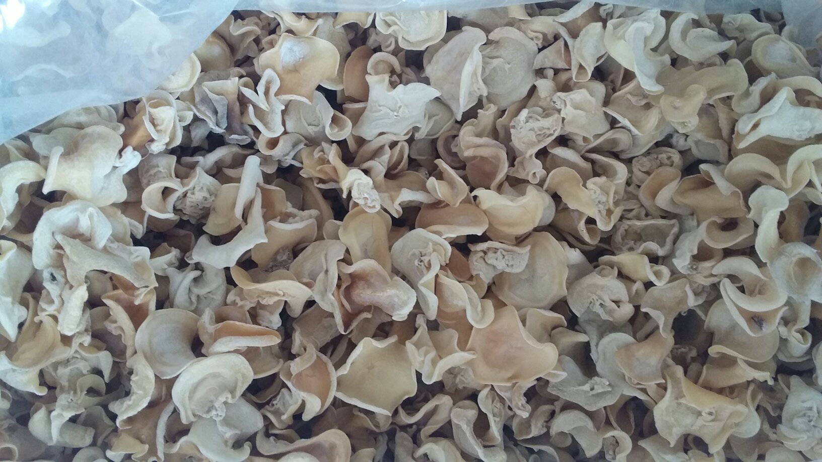 一名身穿白大褂的研究人员正在使用高效液相色谱仪(HPLC)对两份银耳样品进行多糖含量分析,屏幕上显示两条曲线对比图,标注‘未处理’与‘硫熏’样本的多糖峰值差异。桌面上摆放着银耳粉末样本瓶和检测报告 实验室检测场景