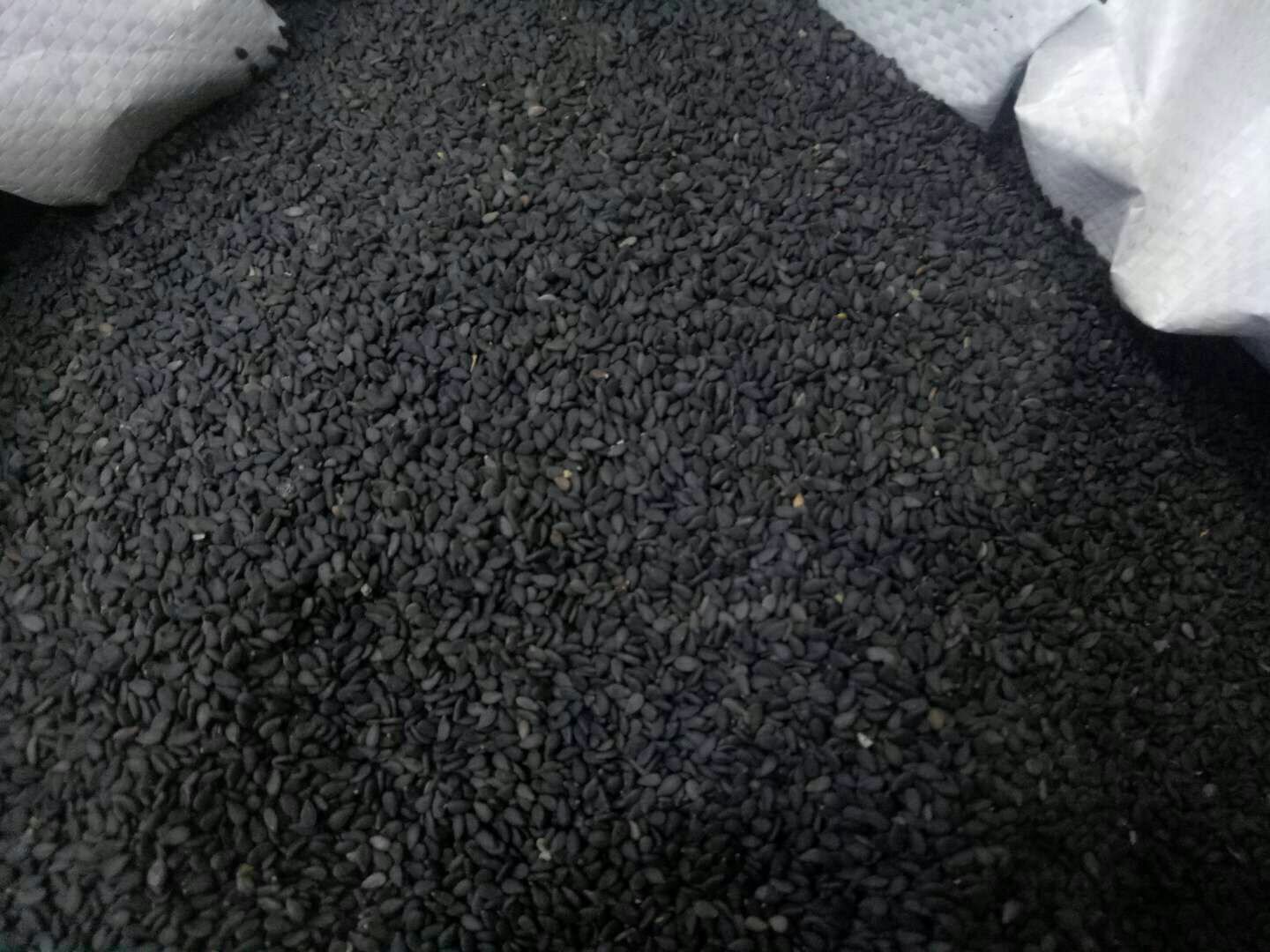 图示:左侧为黑芝麻与黑豆颗粒独立存在;中部箭头标注'植酸↑↑↑';右侧为二者混合后形成的深褐色植酸-铁锌复合物沉淀,试管底部标注'Fe吸收率↓73%'及'Zn吸收率↓65%' 黑芝麻与黑豆植酸协同抑制示意图