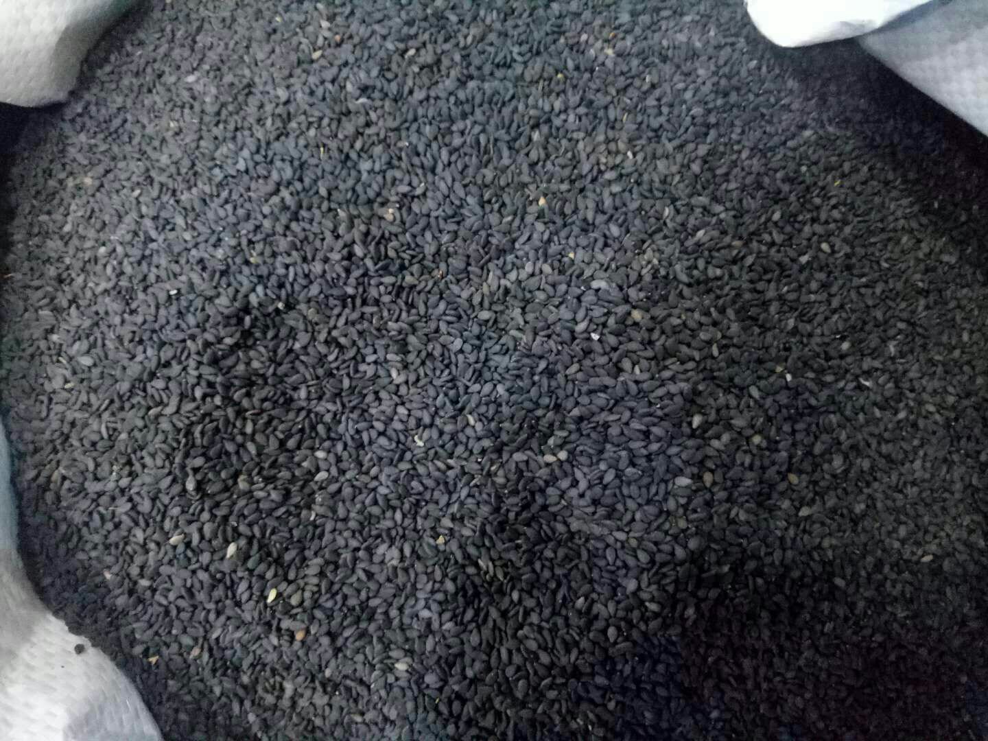 炒熟的黑豆与黑芝麻组合图