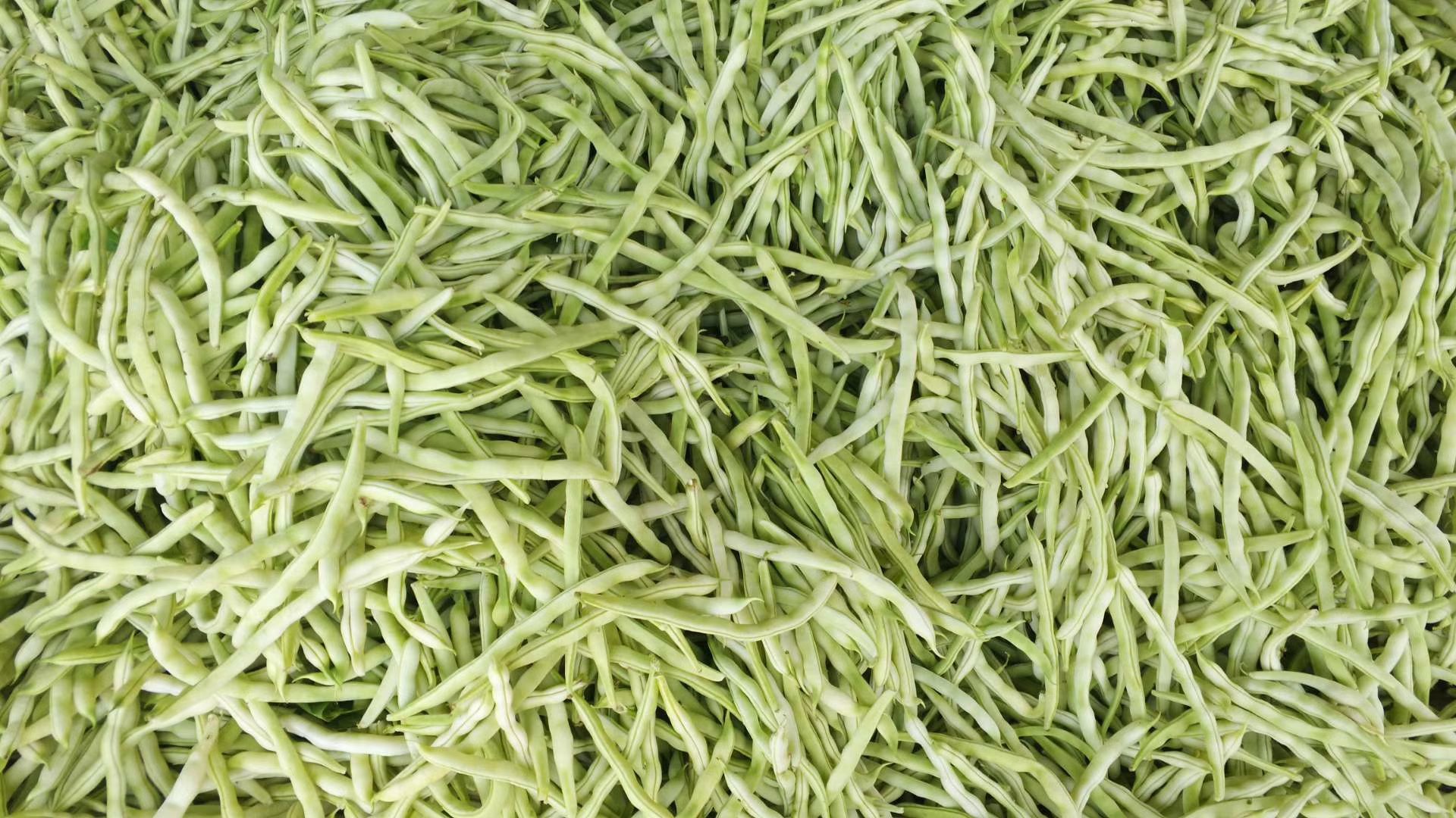 芸豆焯水过程图