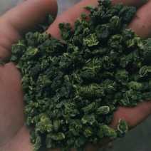 精品桑叶茶