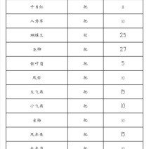 满天星，千万星，勿忘我，情人草