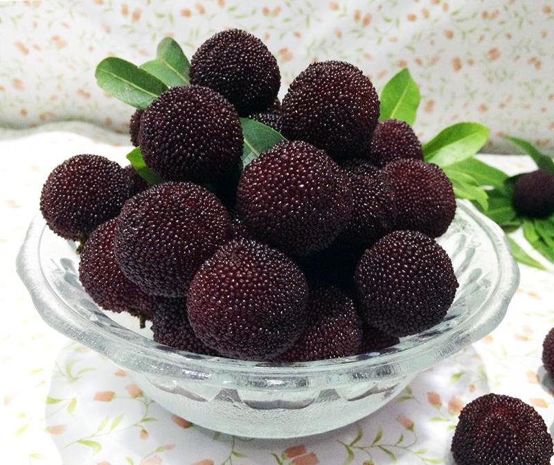 东魁杨梅果实特写